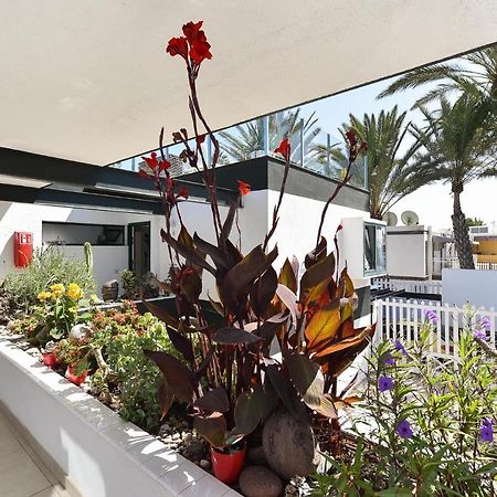 Maspalomas Beach Apartment Charca 1 외부 사진